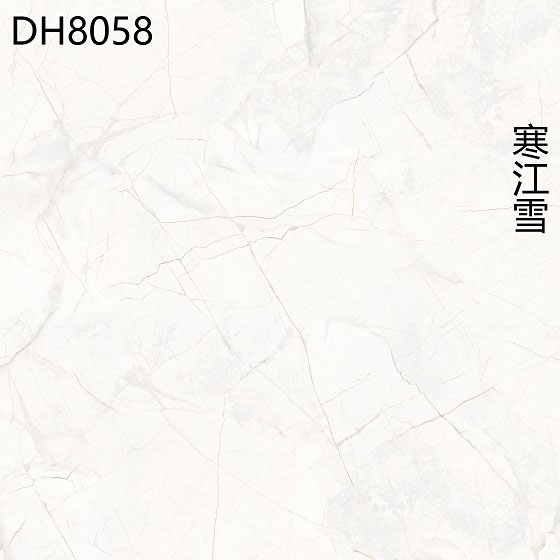 DH8058