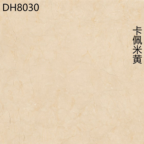 DH8030