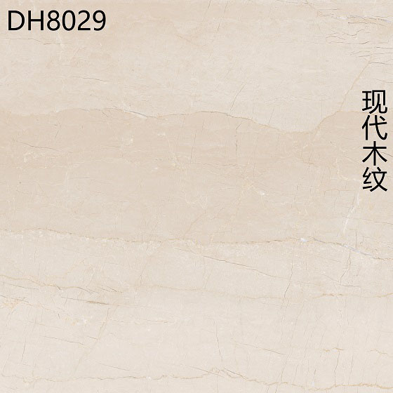 DH8029