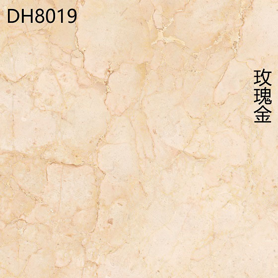 DH8019